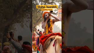 India's  Kumbh Mela: A Festival of Faith, a Sea of Humanity #mahakumbh #prayagraj