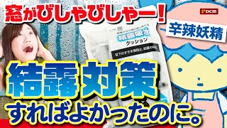 窓がびしゃびしゃー！　辛辣妖精：結露対策すればよかったのに...