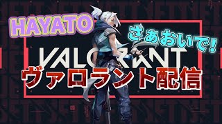 【参加型】 初見さん大歓迎！参加型コンペ or カスタム　聞き専◎【VALORANT】