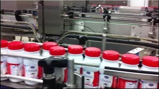 UHT Milk 250 ml bottle DANA Brand France  - Dana Dairy Group