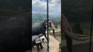 A Day at the Top | Unbelievable Views from |Porawagala view point Bandarawela Srilanka |