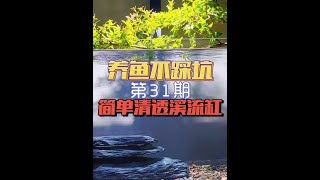 养鱼不踩坑第31期，如何开一台造景简单，水质清透的溪流缸 #水族 #鱼缸造景 #观赏鱼 #养鱼不踩坑