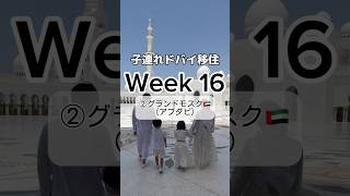 【子連れドバイ移住🇦🇪】Week 16〜②グランドモスク(アブダビ)🕌週末にUAEの首都アブダビにプチ旅行🚗息を呑む白亜の宮殿に感動✨#shorts #海外移住 #ドバイ