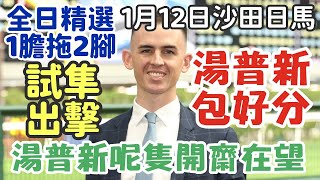 賽馬貼士1月12日星期日沙田日馬，湯普新包好分，湯普新呢隻開齋在望，試隼出擊，全日精選1膽拖2腳，多謝支持訂閱。