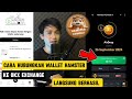 Cara hubungkan wallet hamster kombat ke OKX exchange