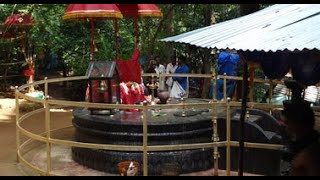 Kalleli Oorali Appuppan  Kaavu  | Tourism Kerala | Pathanamthitta