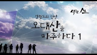 [사람,산] 백두대간의 중심 오대산을  마주하다 / 무릉계- 구룡폭포 - 만물상 - 낙영폭포 - 노인봉 - 진고개 탐방지원센터 코스 (울산MBC 1507 방송)