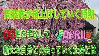 ４月からは〇〇性を手放して新たな自分を意識していく！そのために必要なこと