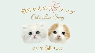 【MV】猫ちゃんのラブソング(kedi aşk şarkısı/Cat's Love Song)/マリア＆リボン