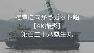 接岸に向かうガット船【4K撮影】第百二十八鳳生丸