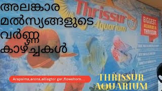 THRISSUR AQUARIUM | THE WORLD OF FISHES 🐬🐬🐬