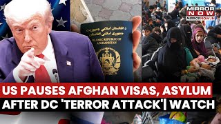 US Pauses Afghan Visas, Asylum Requests After DC Terror Attack As Trump Vows Immigration Overhaul