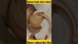 5 ऐसे रोचक बातें जानने के बाद आप हैरान होजा ओगे//Top 5 amazing facts about World/#sockingfactszilla