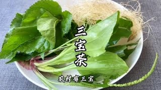 车前草桑叶和玉米须搭配一起煮，作用实在太好了，很多人都不知道