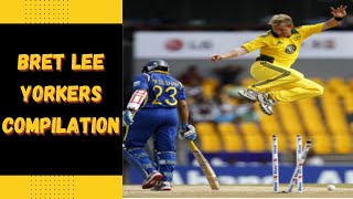 brett lee yorker compilation | brett lee fastest yorker wickets