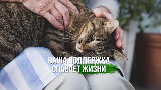 Ваша поддержка спасает жизни