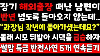 실화사연-장기 해외출장 떠난 남편이 반년 넘도록 돌아오지 않는데 "과장님 작년에 돌아가셨는데요?" 몰래 시모 뒤밟아 시댁을 급습하자_썰맘 특급반전사연 5개 연속듣기/노후인생/오디오