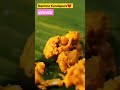 hosth oota shorts viral nammakarnataka kundapura southindiantradition food