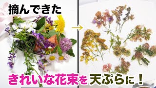 咲き乱れる野草の花を片っ端から摘んで天ぷらにしてみた