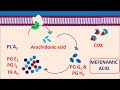 mefenamic acid meftal mechanism precautions side effects u0026 uses