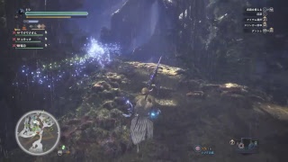 [MHW]18日目 ベヒーモス！[2018.8.12]