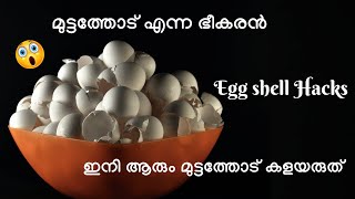 Amazing Egg Shell Hacks| Kitchen Tips Malayalam | ഇനി ആരും മുട്ടത്തോട് കളയരുത്  | EP-271 #fooddaily