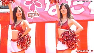 2016.04.02-XリーグWESTチア⑤「サイドワインダーズ チアリーダー」なだ桜まつり@都賀川公園