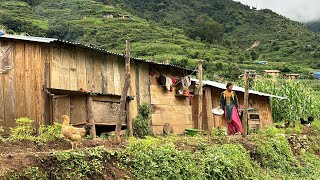 Rainy day in Nepal | Most peaceful and Relaxing Rainy day in mountain village | TheVillageNepal