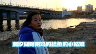 乳山银滩寒流冻死万千小鱼，引得无数海鸥在夕阳下的潮汐湖觅食