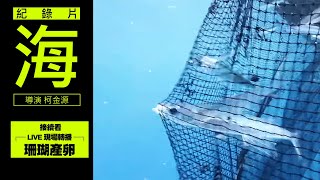 首播【海】2015 紀錄片+ LIVE珊瑚產卵│海龜 珊瑚 水母 小丑魚 招潮蟹│🎧建議戴耳機 聆聽深海裡的聲音│台灣人從海洋擷取各種資源 也要提防海的反撲｜導演 柯金源｜