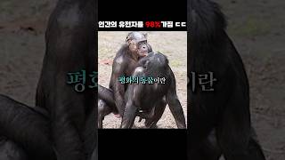 소름돋을 정도로 인간과 똑같이 행동하는 영장류 보노보