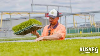 Horticulture – grow your career: Senior Nursery Person (Andrew Creighton, Boomaroo Nurseries)