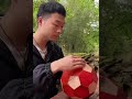 Amazing Creative How to Make Wooden Ball | Creative DIY #Shorts