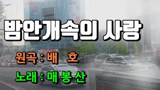 🍒🍒[밤안개속의 사랑] 🍒원곡 : 배호🍒 노래  :매 봉 산 (가사 재중)영상 대구 죽전네거리