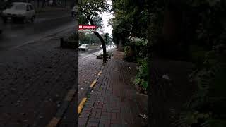 Traversing the Rainy Day in Islamabad| Rainfall in the Capital|#reels #rain #nature #ytshorts #trend