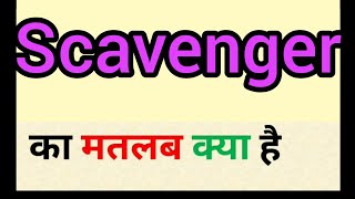 Scavenger meaning in hindi || scavenger ka matlab kya hota hai || word meaning english to hindi