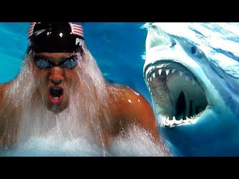 Michael Phelps Will Race Great White Shark