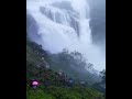 mallalli falls somwarpet