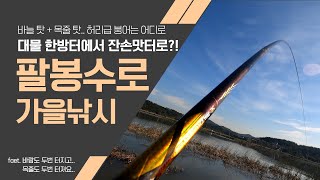 대물한방터 팔봉수로! 허릿급붕어 부터, 사짜붕어 이상의 대물붕어 낚시 포인트로 유명한 팔봉수로에 가을붕어 만나러 멀리 붕어낚시 다녀왔습니다!