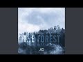 The Forest