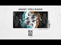 BLK RSE - Want You Back (KAAZE Touch)