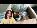 แกะกล่อง unbox ep.8 ของฝากจากประตูสู่ภาคใต้ อาหารภาคใต้ this is me surasawadee