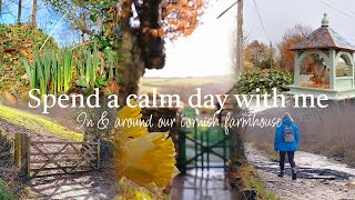 slow living day spent walking, bird watching \u0026 tidying my kitchen #asmr #calm #home #cleaning #walk