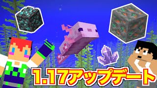 【カズさんワールド】1.17アップデート「新鉱石」獲得計画＃１２１