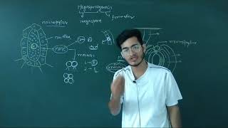 L10: Megasporogenesis Ft. Vipin Sharma