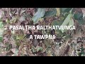 pasalṬha ralthatvunga a tawpna