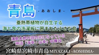 【青島】亜熱帯植物が自生する海と鬼の洗濯板に囲まれた小さな島『宮崎観光』Miyazaki,Aoshima