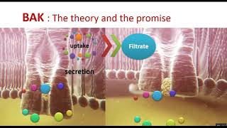 Prof. Hesham Elsayed Advances in Hemodialysis  Part II