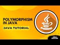Polymorphism in Java | Java Explained for Beginners 2025
