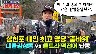 배 타고 5분! 삼천포 중바위, 대물감성돔 VS 울트라 떡전어 난동 [디낚TV 취재브리핑]